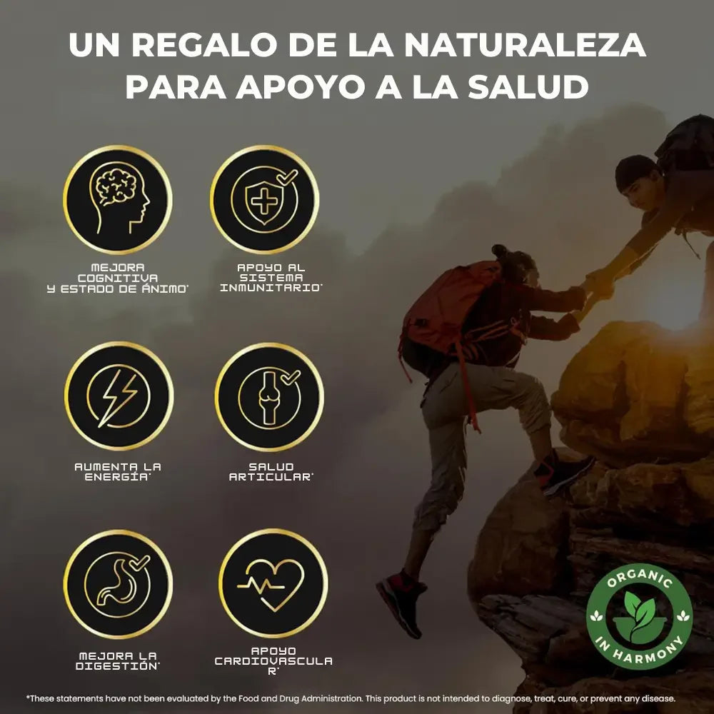 ⚡ ¡OFERTA IRRESISTIBLE! ⚡ 👉 LLÉVATE 2 GOMAS SHILAJIT POR EL PRECIO DE 1. MÁS ENERGÍA, MÁS FUERZA, MÁS TESTOSTERONA